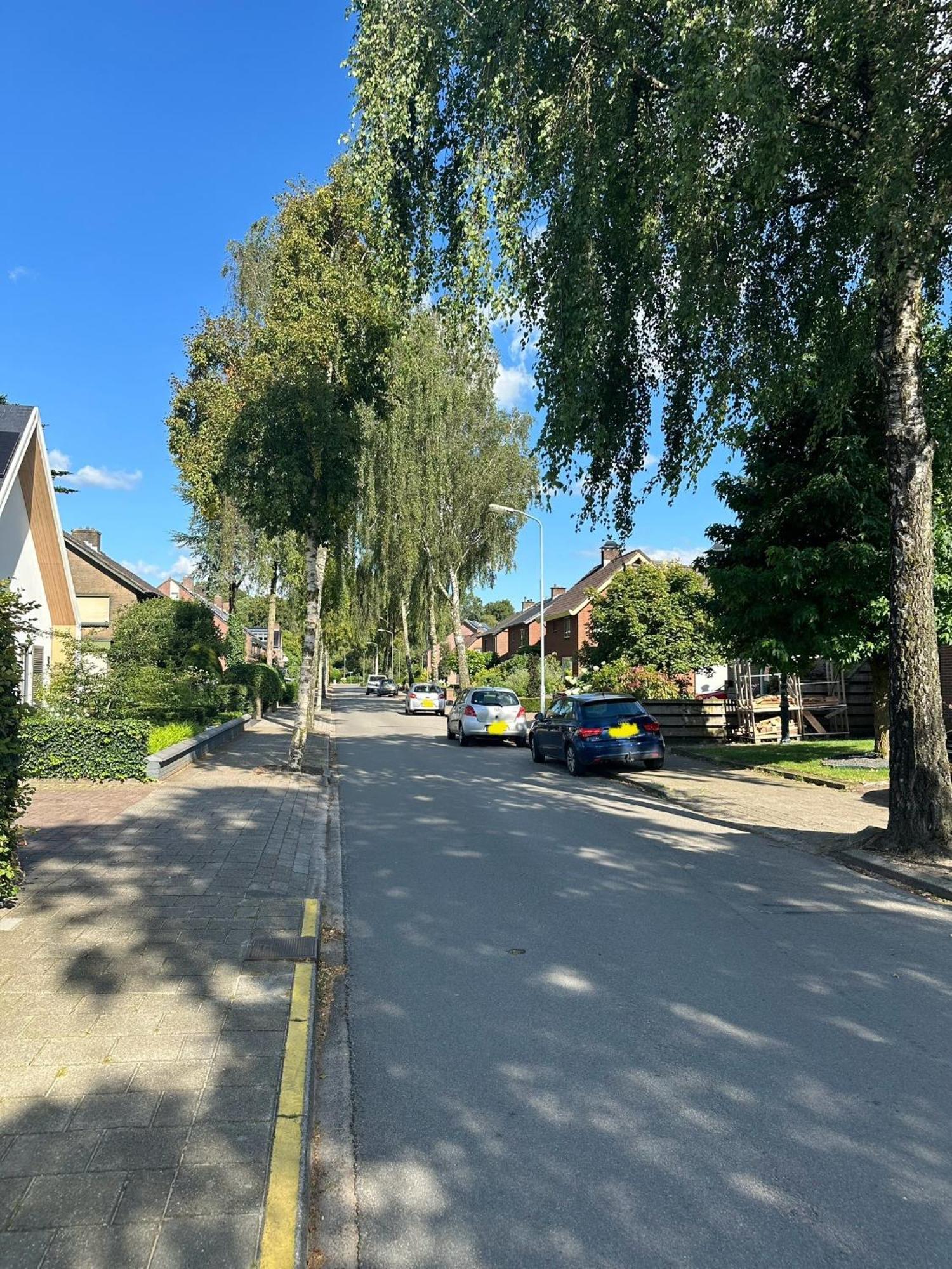De Voorschuur Villa Lunteren Exteriör bild